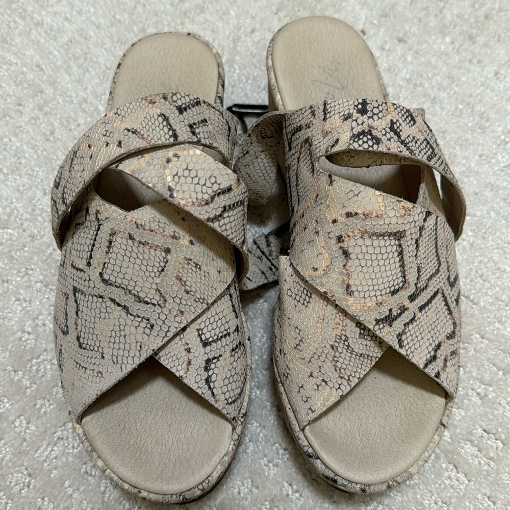 Matisse wedges